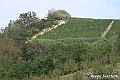VBS_5455 - C'è un mare di velluto verde! E tu che sognavi di andare lontano... Quanta meraviglia, quì!
